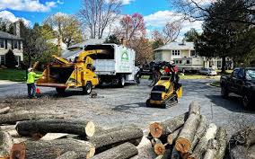Best Emergency Tree Removal  in Marion, KY