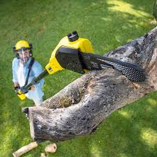 Best Seasonal Cleanup (Spring/Fall)  in Marion, KY