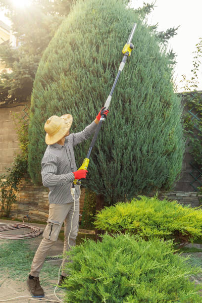Mulching Services in Marion, KY
